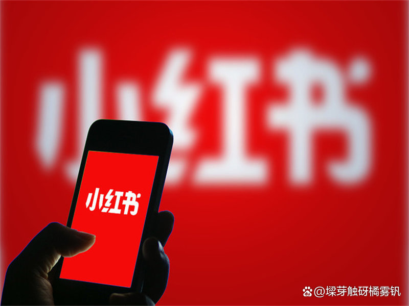 视频号真人评论